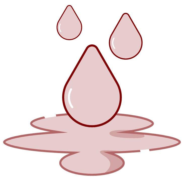Icon Wasserschäden